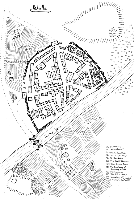 PelvilleBattleDamaged